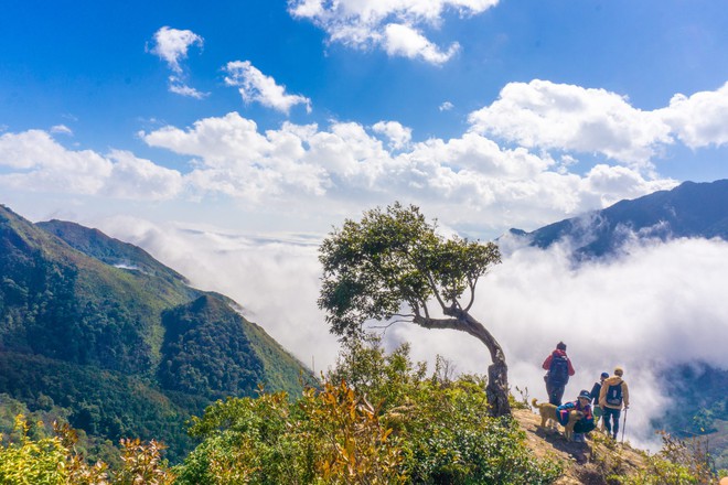 Chi phí chinh phục &quot;thảo nguyên xanh trên cao&quot; ở Yên Bái - tọa độ săn mây cực đỉnh nhưng ít người biết - Ảnh 4.