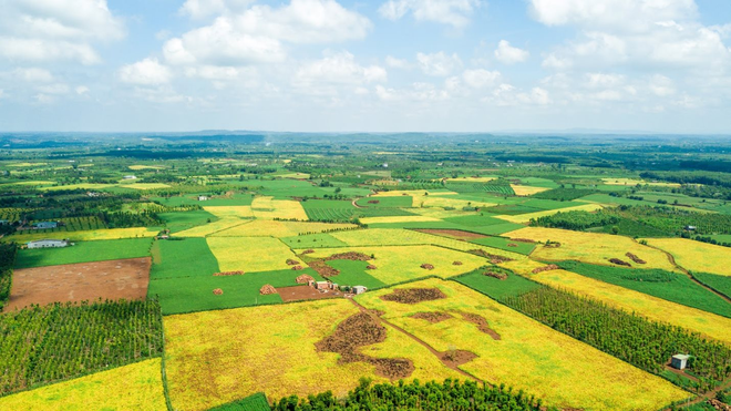 Một loại hạt giàu dinh dưỡng được ví như “thịt không xương”: Ở Việt Nam có một thương hiệu quốc gia, nỗ lực hơn 1 thập kỷ để phát triển bền vững vùng nguyên liệu - Ảnh 3.