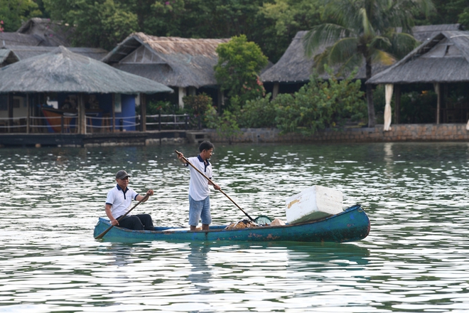 Cặp đôi Pháp - Việt biến đảo hoang thành nơi nghiêm ngặt: Xem cá voi gần bờ, Forbes và CNN đều ca ngợi - Ảnh 5.