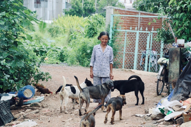 Chuyện bà Tuyết ve chai 26 năm nuôi đàn chó mèo bị bỏ rơi ở TP.HCM: Đau lòng khi bị trộm bắt đem bán… - Ảnh 7.