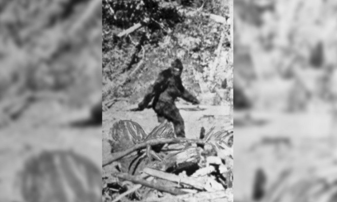 Mỹ: Phát hiện sinh vật mình đầy lông lá ở sườn núi, nghi “quái vật” mất tích gần 150 năm - Ảnh 2.