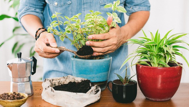 Những mẹo l&agrave;m vườn tưởng &ldquo;bất ổn&rdquo; nhưng lại hiệu quả kh&ocirc;ng ngờ - Ảnh 3.