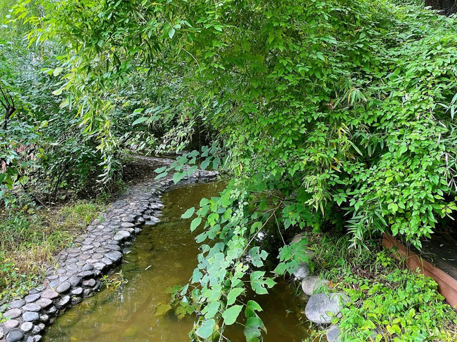 Nh&igrave;n nơi gi&aacute;o sư đại học nổi tiếng sống, t&ocirc;i nhận ra: Mua nh&agrave; ở đ&acirc;u, thực sự tạo n&ecirc;n kh&aacute;c biệt gi&agrave;u - ngh&egrave;o - Ảnh 1.