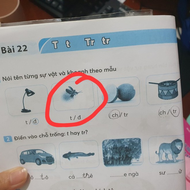 Bức ảnh trong vở bài tập tiếng Việt của học sinh lớp 1 gây tranh cãi: Đây là con gì? - Ảnh 1.