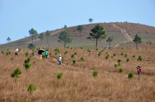 Chi ph&iacute; đến đỉnh n&uacute;i Ba Tầng để ngắm bức tranh ho&agrave;ng h&ocirc;n đẹp như Thụy Sĩ m&ugrave;a cỏ ch&aacute;y - Ảnh 2.