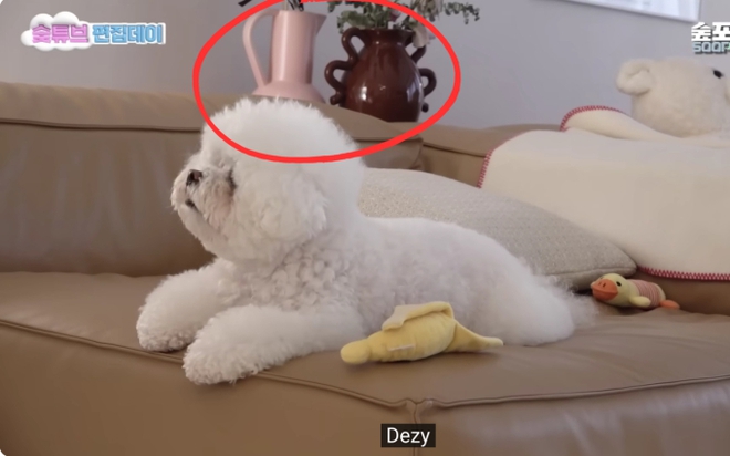 B&oacute;c gi&aacute; nội thất nh&agrave; Suzy: M&aacute;y lọc kh&ocirc;ng kh&iacute; gần 124 triệu, c&oacute; m&oacute;n đồ chơi nh&agrave; gi&agrave;u giống Jennie (BLACKPINK) gi&aacute; 13.000 euro - Ảnh 4.
