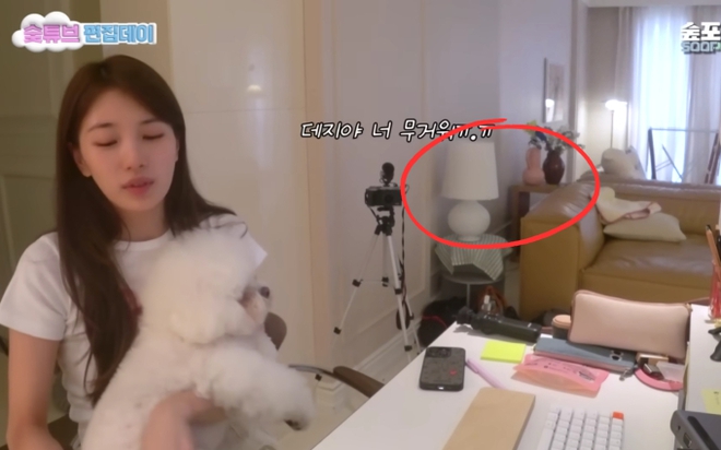 B&oacute;c gi&aacute; nội thất nh&agrave; Suzy: M&aacute;y lọc kh&ocirc;ng kh&iacute; gần 124 triệu, c&oacute; m&oacute;n đồ chơi nh&agrave; gi&agrave;u giống Jennie (BLACKPINK) gi&aacute; 13.000 euro - Ảnh 10.