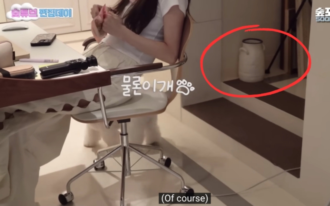 B&oacute;c gi&aacute; nội thất nh&agrave; Suzy: M&aacute;y lọc kh&ocirc;ng kh&iacute; gần 124 triệu, c&oacute; m&oacute;n đồ chơi nh&agrave; gi&agrave;u giống Jennie (BLACKPINK) gi&aacute; 13.000 euro - Ảnh 6.