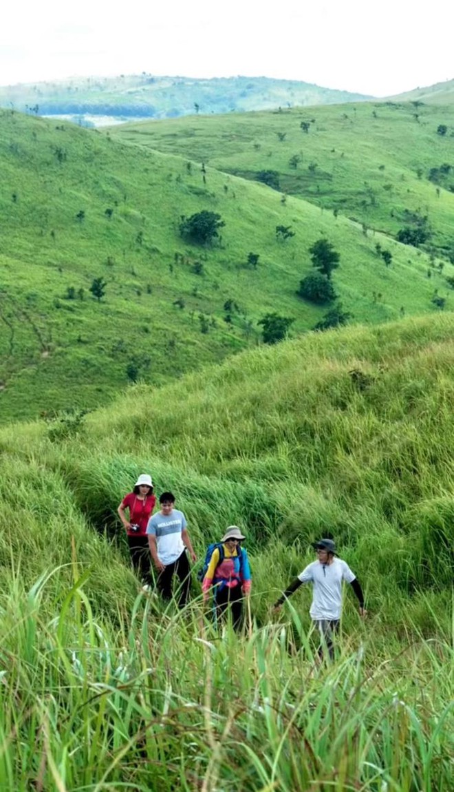 Một thảo nguyên xanh ở Đắk Lắk được giới trẻ săn đón vì cảnh đẹp mê ly - Ảnh 4.