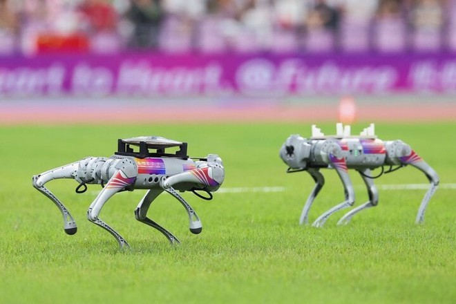 Độc đáo chó robot Trung Quốc xuất hiện giữa sân đấu ASIAD 19 - Ảnh 1.