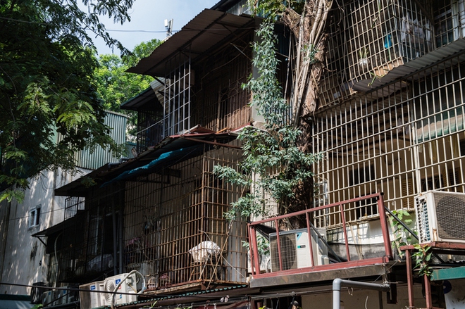 Cận cảnh khu tập thể lâu đời nhất Hà Nội vừa được phê duyệt để cải tạo, xây dựng lại - Ảnh 5.