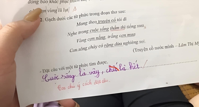 Học sinh đặt câu với từ phức khiến cô giáo tá hỏa: Mới chút tuổi mà đã triết lý thế này! - Ảnh 1.