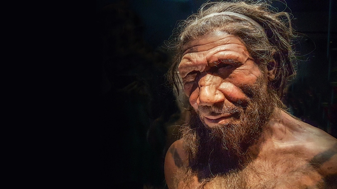 Người Neanderthal th&ocirc;ng minh hơn đười ươi v&agrave; khỉ, vậy tại sao họ lại tuyệt chủng c&aacute;ch đ&acirc;y 30.000 năm? - Ảnh 4.