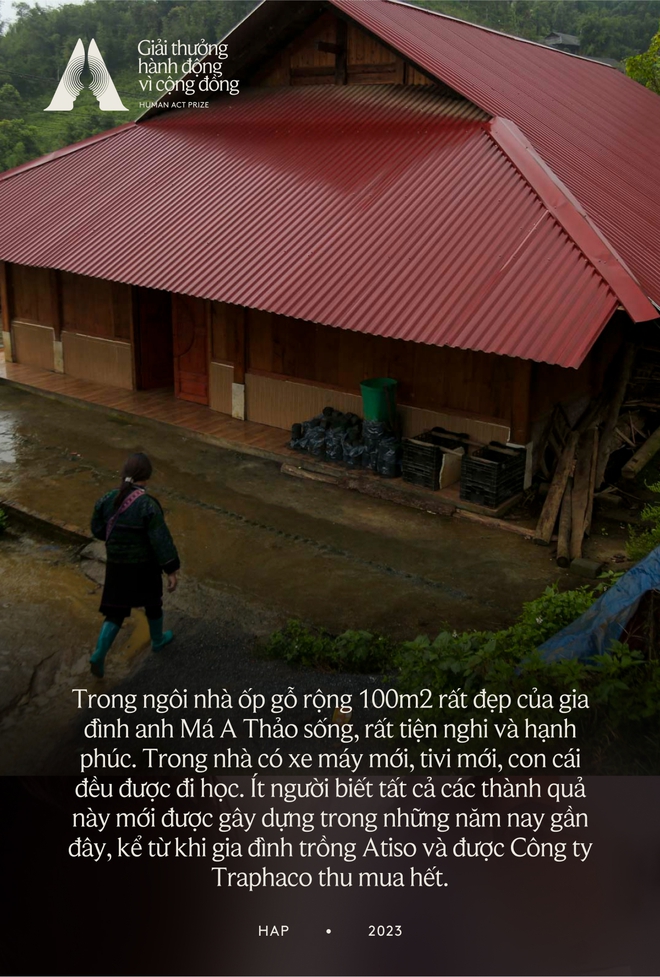 Về Sa Pa, nh&igrave;n người M&ocirc;ng đổi đời nhờ c&acirc;y Atiso: Ch&uacute;ng t&ocirc;i x&acirc;y được nh&agrave;, mua được xe, bữa cơm n&agrave;o cũng c&oacute; thịt - Ảnh 2.
