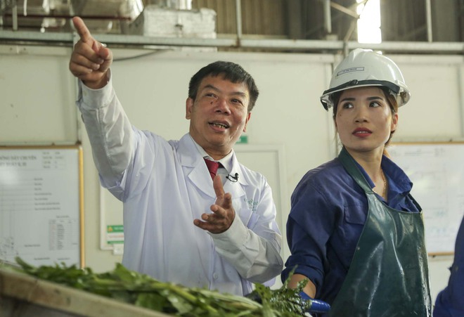 Về Sa Pa, nh&igrave;n người M&ocirc;ng đổi đời nhờ c&acirc;y Atiso: Ch&uacute;ng t&ocirc;i x&acirc;y được nh&agrave;, mua được xe, bữa cơm n&agrave;o cũng c&oacute; thịt - Ảnh 8.