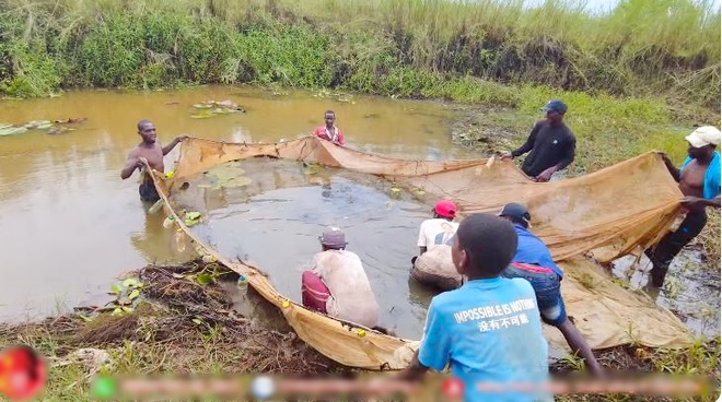 Đi ngang thấy tốp đàn ông cởi trần lội nước, chủ trang trại người Việt ở Angola vội xuống thương lượng - Ảnh 5.