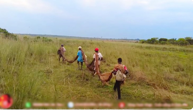 Đi ngang thấy tốp đàn ông cởi trần lội nước, chủ trang trại người Việt ở Angola vội xuống thương lượng - Ảnh 3.