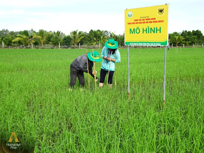 Doanh nghiệp ph&acirc;n b&oacute;n khuyến c&aacute;o n&ocirc;ng d&acirc;n b&oacute;n &iacute;t hơn v&agrave; c&acirc;u chuyện ph&aacute;t triển n&ocirc;ng nghiệp bền vững v&ugrave;ng Đồng bằng S&ocirc;ng Cửu Long - Ảnh 1.
