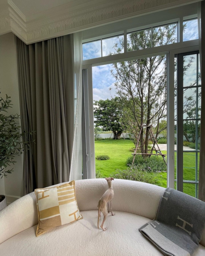 Sân vườn trong biệt phủ 8000m2 của Mai Davika khiến ai cũng phải trầm trồ, gia chủ đích thân flex view ngắm hoàng hôn đẹp mê - Ảnh 4. Sân vườn trong biệt phủ 8000m2 của Mai Davika khiến ai cũng phải trầm trồ, gia chủ đích thân flex view ngắm hoàng hôn đẹp mê - Ảnh 4.