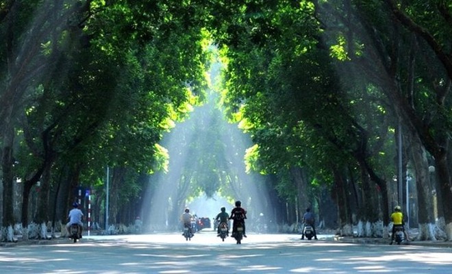 Những cung đường đẹp nhất Việt Nam - Ảnh 4.