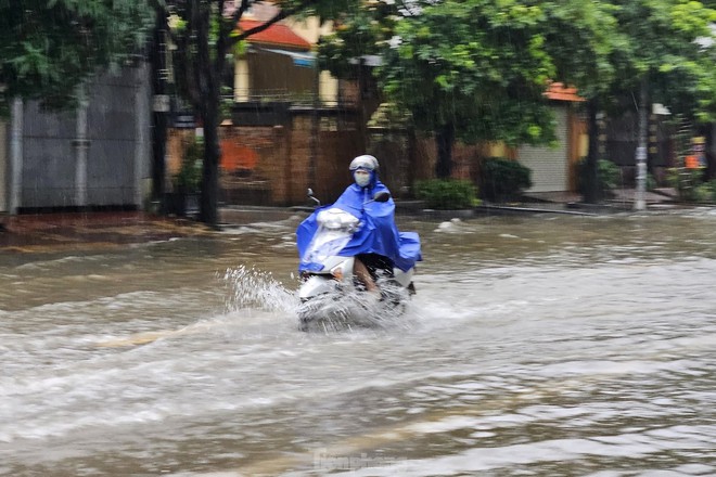TP Vinh: Đường biến th&agrave;nh s&ocirc;ng, xe cộ bơi ngay giữa phố - Ảnh 5.