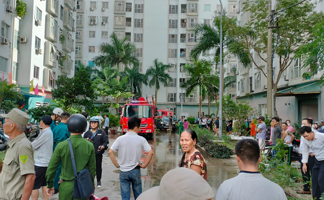 Cháy căn hộ tại chung cư 12 tầng ở Đà Nẵng - Ảnh 3.