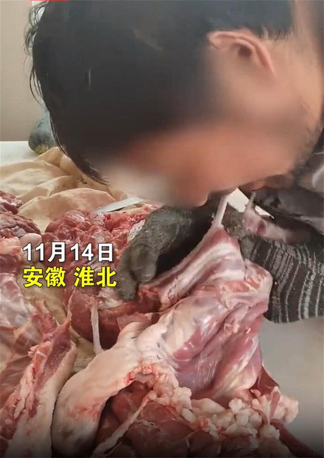 Dùng răng để lọc xương, cửa hàng thịt lợn gây tranh cãi trên mạng xã hội - Ảnh 2.