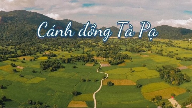 Ghé An Giang mùa lúa chín ngắm nhìn cánh đồng Tà Pạ độc đáo, đủ ô sắc màu - Ảnh 1.