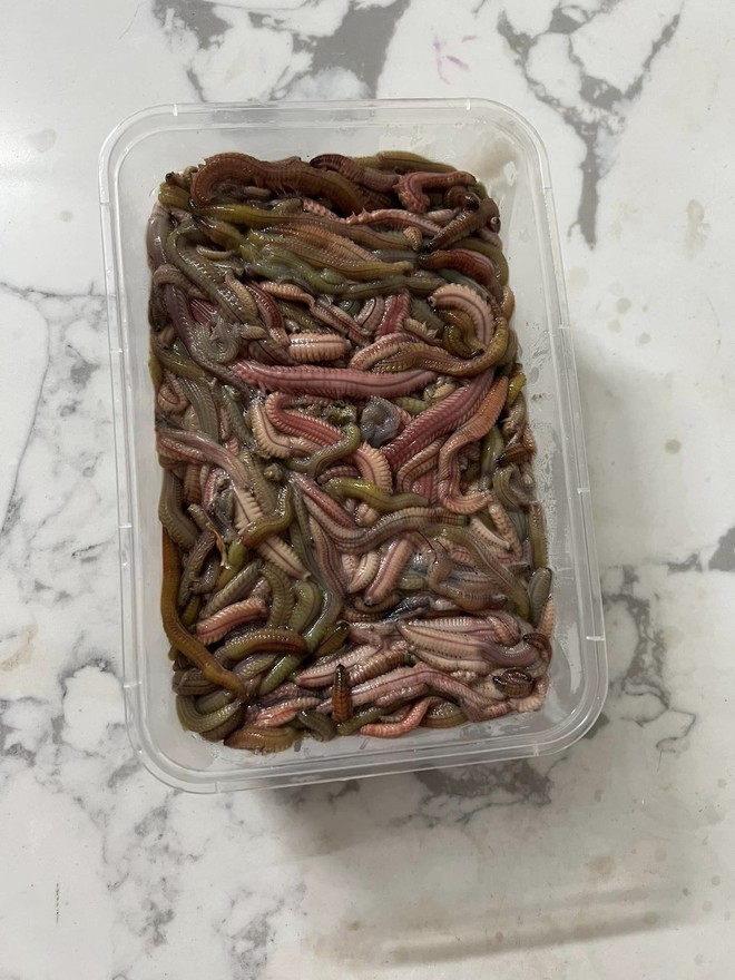 Đặt rươi online, cả người b&aacute;n người mua đều phơi b&agrave;y sự thật tr&ecirc;n mạng - Ảnh 5.