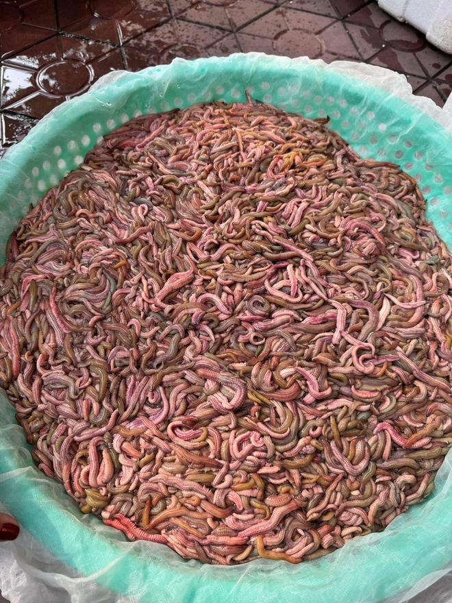 Đặt rươi online, cả người b&aacute;n người mua đều phơi b&agrave;y sự thật tr&ecirc;n mạng - Ảnh 4.