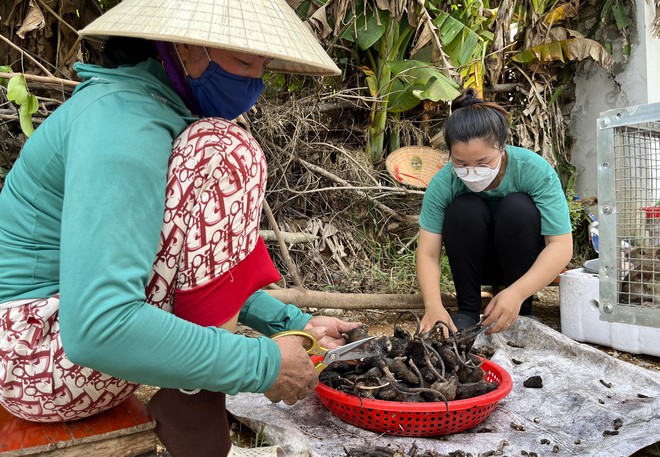 Chợ chuột lớn nhất Nghệ An, mỗi ngày tiêu thụ cả tấn - Ảnh 6.