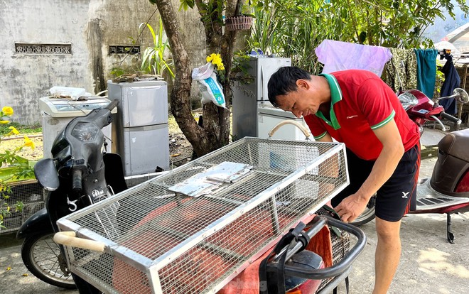 Chợ chuột lớn nhất Nghệ An, mỗi ngày tiêu thụ cả tấn - Ảnh 5.