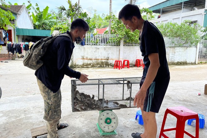 Chợ chuột lớn nhất Nghệ An, mỗi ngày tiêu thụ cả tấn - Ảnh 3.