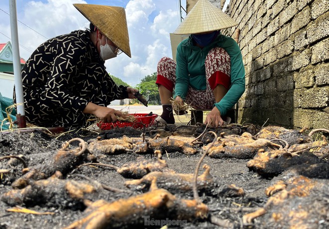 Chợ chuột lớn nhất Nghệ An, mỗi ngày tiêu thụ cả tấn - Ảnh 12.