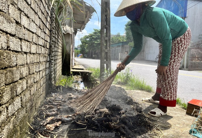 Chợ chuột lớn nhất Nghệ An, mỗi ngày tiêu thụ cả tấn - Ảnh 11.