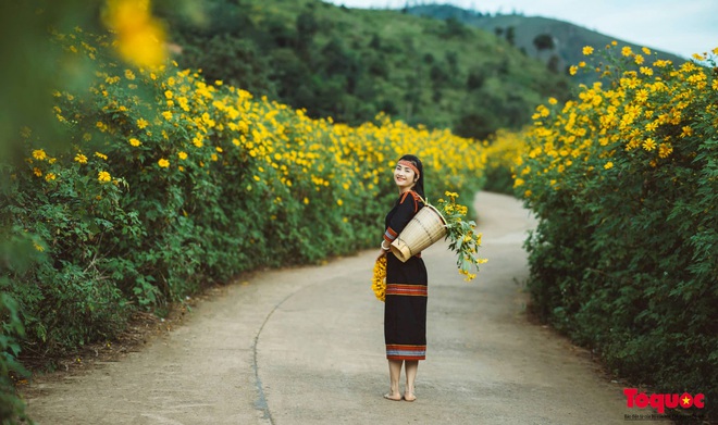 Núi lửa Chư Đăng Ya rực cháy trong sắc vàng mùa hoa dã quỳ - Ảnh 13.