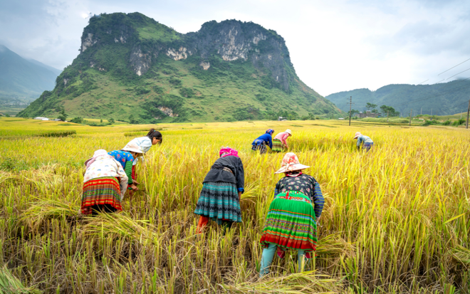 Trước Tết Nguyên đán còn có một cái Tết mang đậm giá trị truyền thống, bạn có biết? - Ảnh 1.