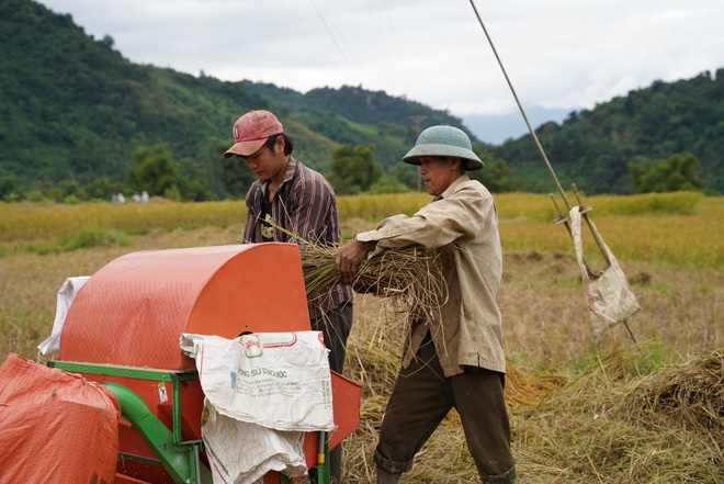 Người truyền cảm hứng làm nông nghiệp ứng phó biến đổi khí hậu ở xã bản vùng cao, đưa cây lúa địa phương thành đặc sản 3 sao nức tiếng - Ảnh 10.