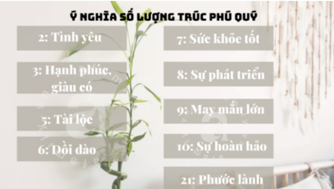 Loại cây có tác dụng chiêu tài gọi lộc, mang may mắn đến cho sự nghiệp, được bày trên bàn thờ vì lý do đặc biệt này - Ảnh 15.