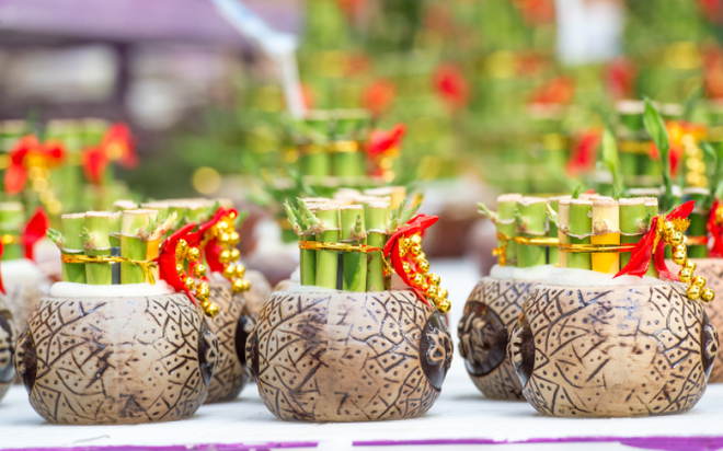 Loại cây có tác dụng chiêu tài gọi lộc, mang may mắn đến cho sự nghiệp, được bày trên bàn thờ vì lý do đặc biệt này - Ảnh 6.