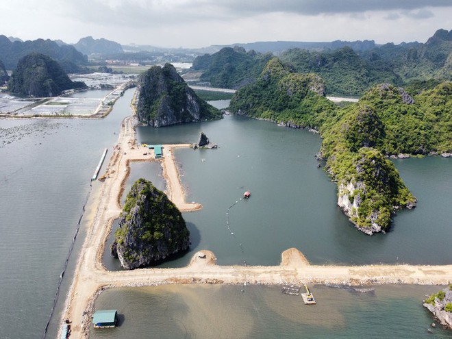 Doanh nghiệp n&oacute;i g&igrave; về việc mới th&agrave;nh lập 42 ng&agrave;y đ&atilde; tr&uacute;ng đấu gi&aacute; khu đất ng&agrave;n tỉ? - Ảnh 1.