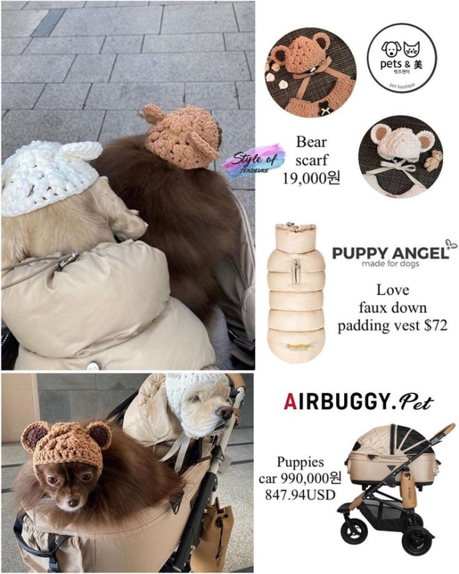 BLACKPINK chiều thú cưng đến mức nào: Cún nhà Jennie đi dạo phố bằng xe đẩy, cún của Rosé có túi xách hơn 3000 đô - Ảnh 5.