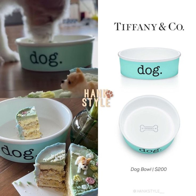 BLACKPINK chiều th&uacute; cưng đến mức n&agrave;o: C&uacute;n nh&agrave; Jennie đi dạo phố bằng xe đẩy, c&uacute;n của Ros&eacute; c&oacute; t&uacute;i x&aacute;ch hơn 3000 đ&ocirc; - Ảnh 21.