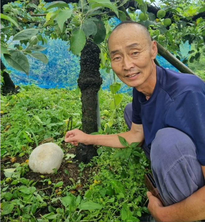 Nhặt được quả trứng kỳ lạ, người đàn ông ngỡ ngàng khi biết lai lịch của nó - Ảnh 2.