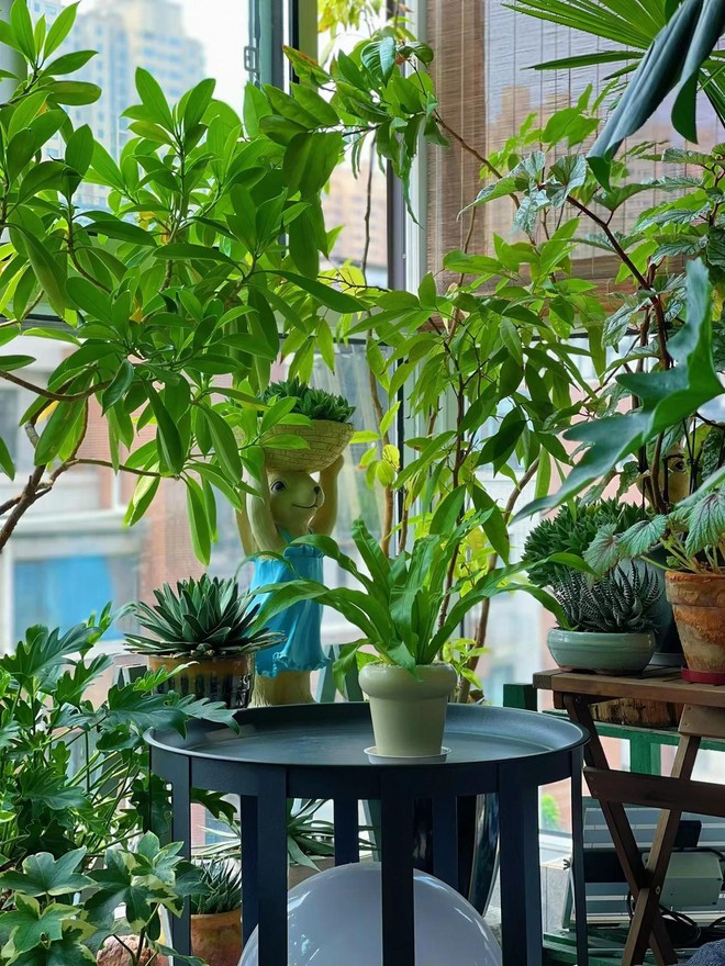 3 mẹo hay gi&uacute;p c&ocirc; g&aacute;i trẻ nổi tiếng nhờ trồng hoa tr&ecirc;n ban c&ocirc;ng 9m2 - Ảnh 6.