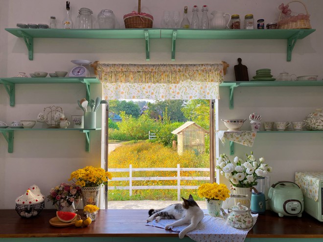 G&oacute;c bếp nhỏ được thiết kế theo phong c&aacute;ch farmhouse, đẹp như trong phim chỉ với 3 triệu đồng - Ảnh 1.