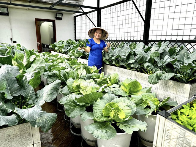 "Khu vườn trên mây" ngốn bạc tỷ của cô giáo Hà Nội: Rau trái đắt hơn vàng, là không gian chữa lành