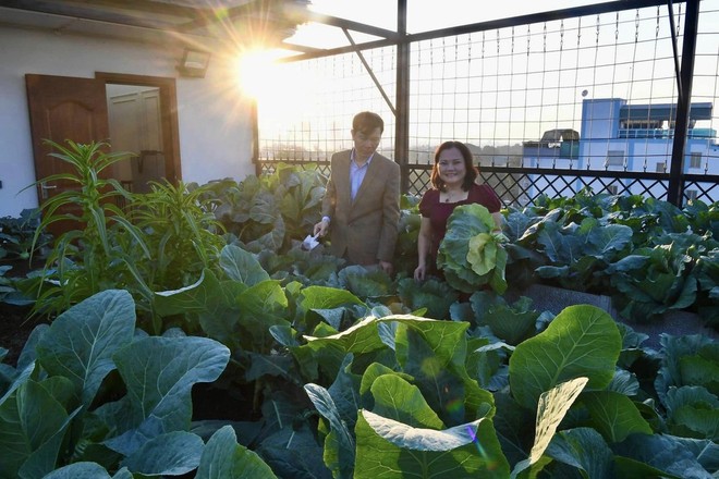 "Khu vườn trên mây" ngốn bạc tỷ của cô giáo Hà Nội: Rau trái đắt hơn vàng, là không gian chữa lành
