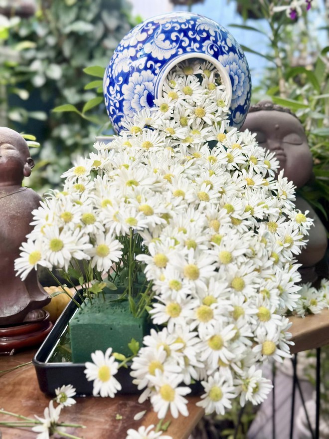 Hoa b&aacute;o Đ&ocirc;ng dập d&igrave;u xuống phố, hội chị em c&oacute; ngay tr&agrave;o lưu cắm hoa mới, t&agrave;n rồi vẫn chơi được tiếp - Ảnh 10.