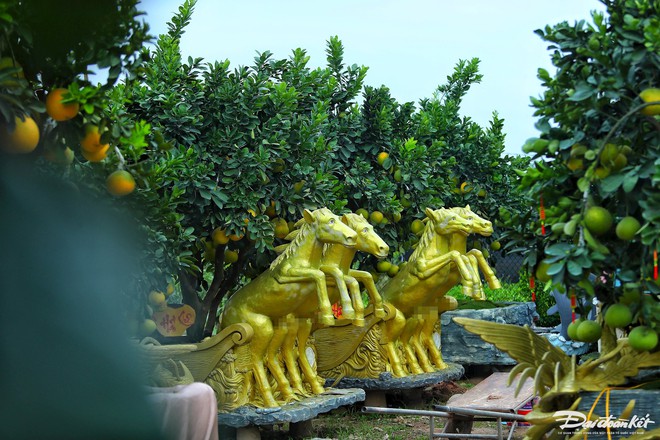 Độc lạ chậu bưởi h&igrave;nh rồng gi&aacute; trăm triệu đồng - Ảnh 7.